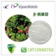 Health & Medical Alpha Pure Beta Arbutin Powder