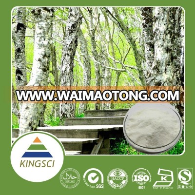 Top quality natural Birch Bark Extract wholesale, Birch Bark Extract powder in bulk supply, Betulinic acid 70% 98%